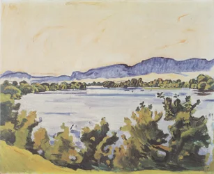 De Aare bij Solothurn